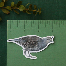 Quail Covey Five Vinyl Stickers: Male and Female Quail, 2 chicks, quail egg