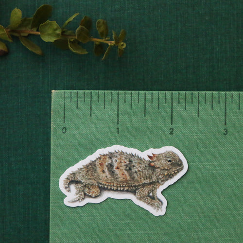 Load image 1 in gallery view. Chaparral Lizards Vinyl Stickers: Horned Lizard, Side-Blotched Lizard, CA Whiptail