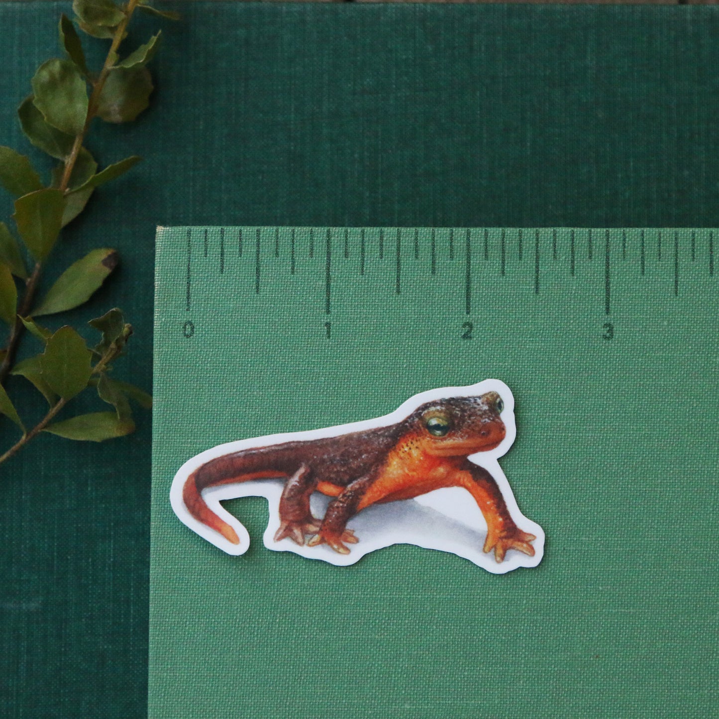 Oak Woodlands Vinyl Stickers: CA Newt, Scrub Jay, Valley Oak, CA Sister