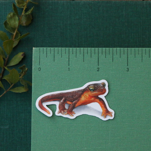 Load image 1 in gallery view. Oak Woodlands Vinyl Stickers: CA Newt, Scrub Jay, Valley Oak, CA Sister