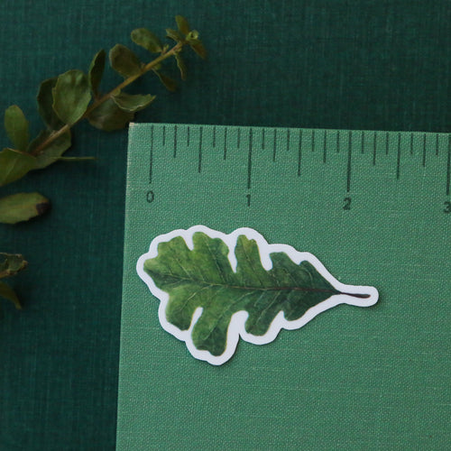 Load image 1 in gallery view. Oak Woodlands Vinyl Stickers: CA Newt, Scrub Jay, Valley Oak, CA Sister