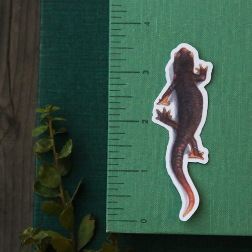 Load image 1 in gallery view. Oak Herps Vinyl Stickers: CA Newt, Arboreal Salamander, Western Skink