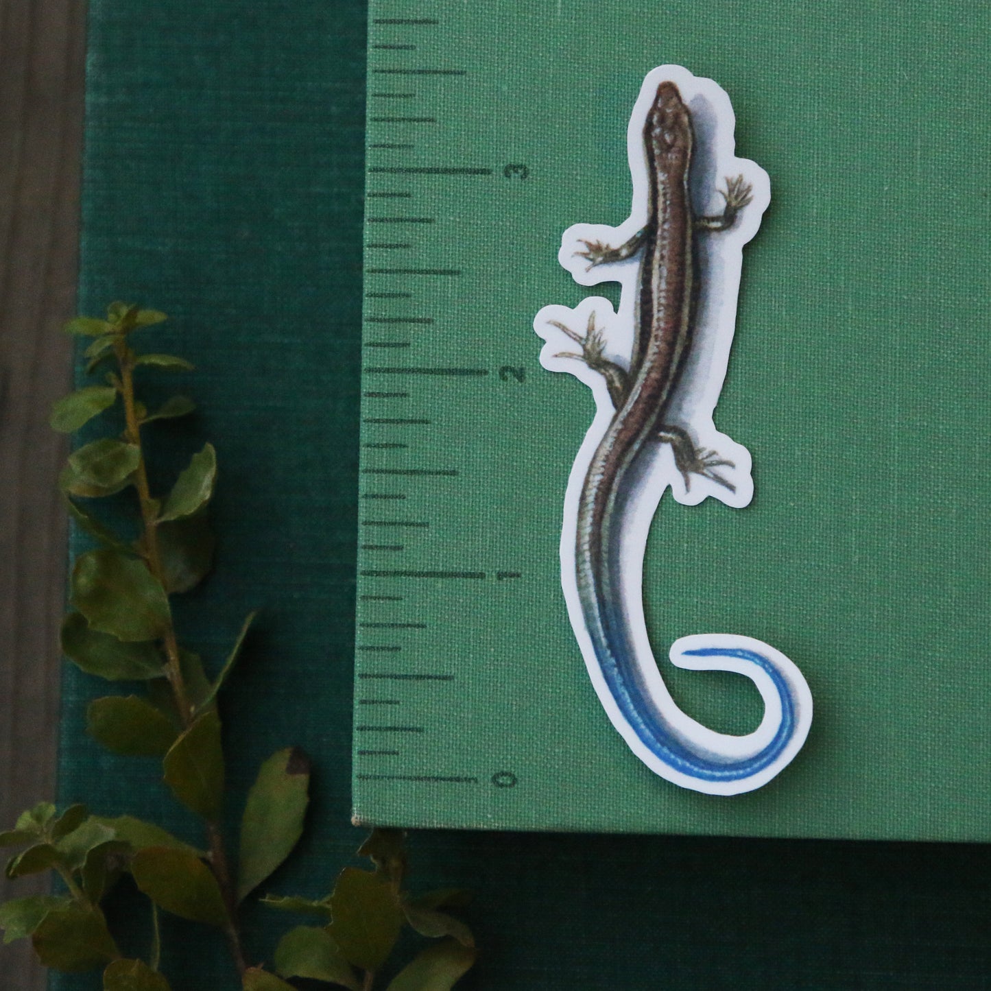 Oak Herps Vinyl Stickers: CA Newt, Arboreal Salamander, Western Skink
