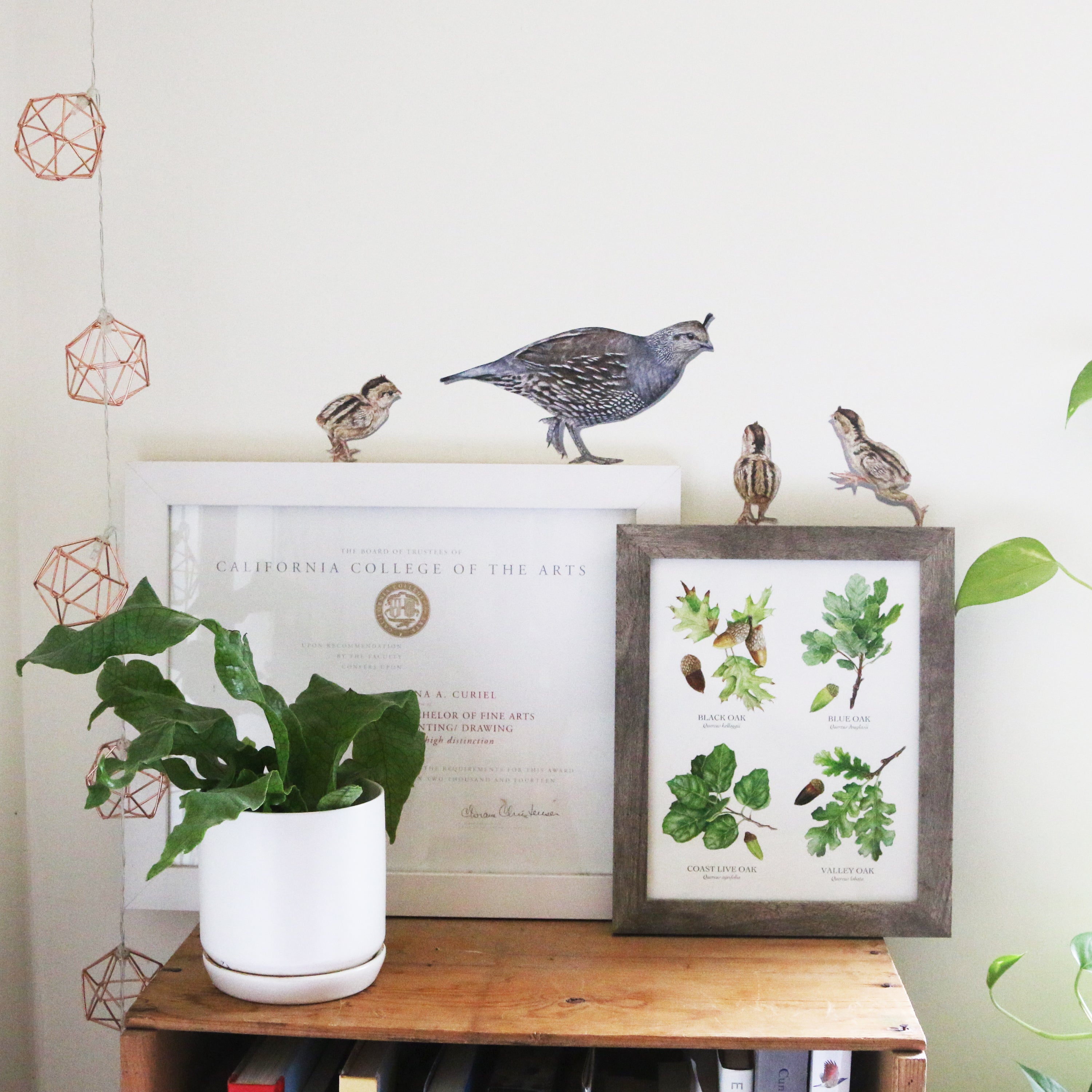 Realistic female quail surrounded by three quail chicks all standing on picture frames.