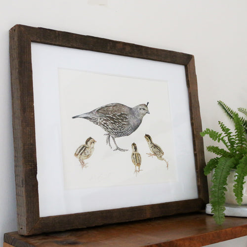 Load image 1 in gallery view. Quail Family 8x10 Print - Native California Wildlife, Bird Print