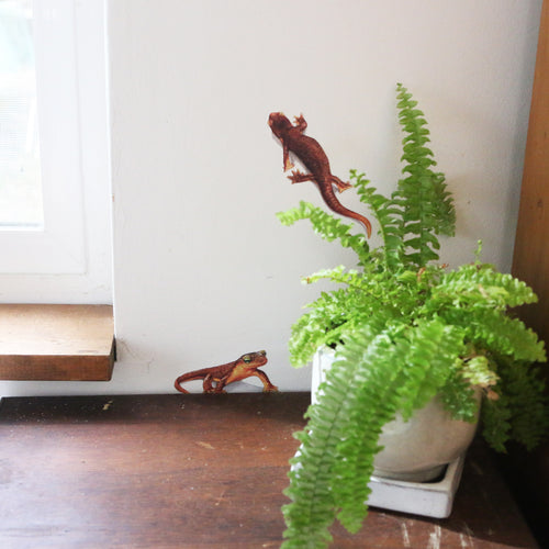 Load image 1 in gallery view. Realistic California newts against a white wall one standing above a desk and the other climbing the wall. 