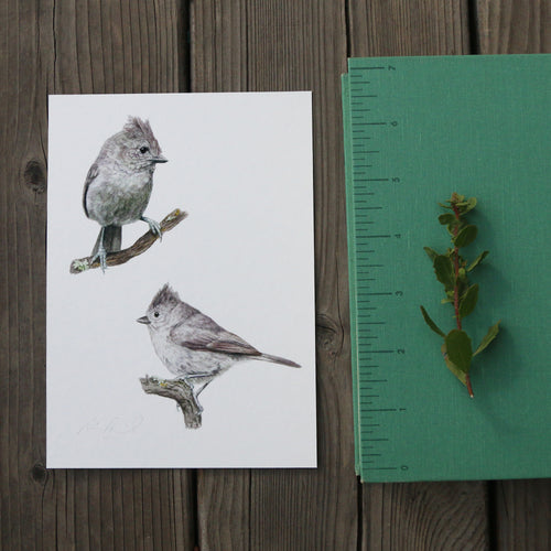 Load image 1 in gallery view. Oak Titmouse 5x7 Print - Native California Wildlife, Watercolor print, Bird Print