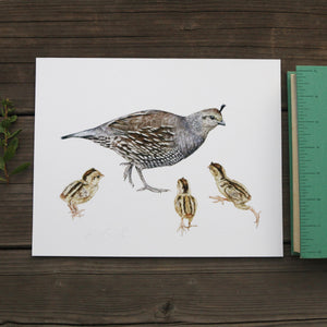 Quail Family 8x10 Print - Native California Wildlife, Bird Print, Birder gift, Quail mom