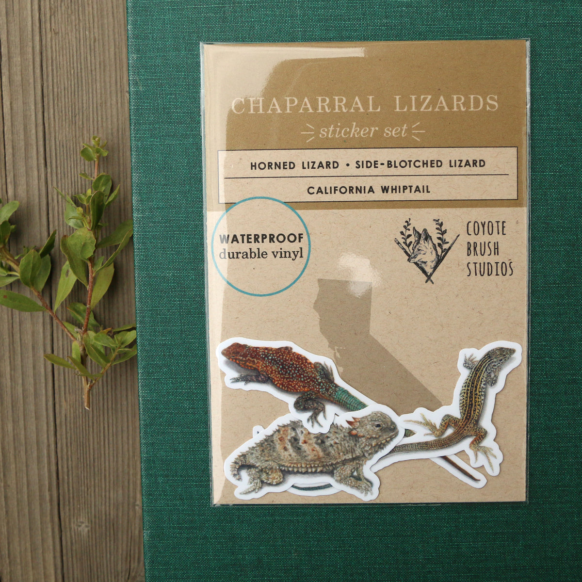 Lizard Sticker Clicker Chaparral Lizards Sticker Set, Three Vinyl Stickers: Horned Lizard, Si ...