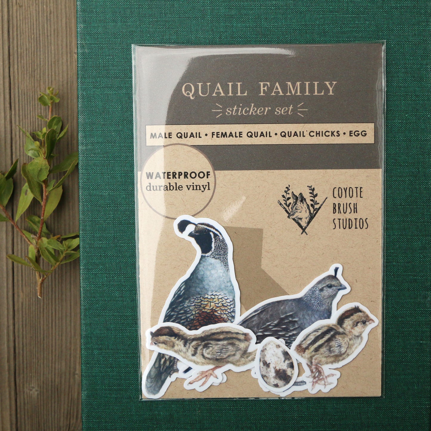 Quail Covey Vinyl Stickers: Male and Female Quail, 2 chicks, egg