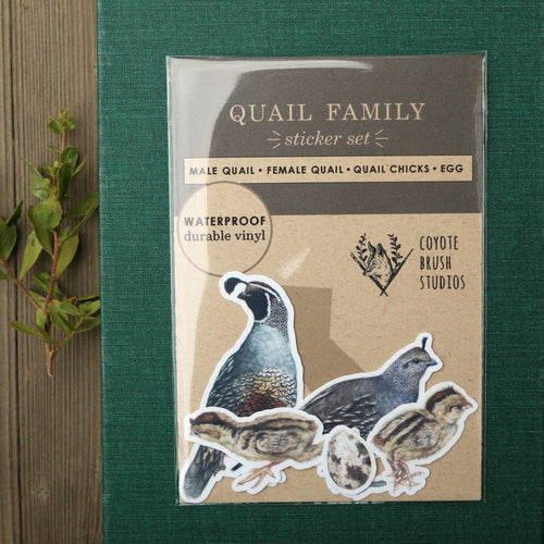 Load image 1 in gallery view. Quail Covey Vinyl Stickers: Male and Female Quail, 2 chicks, egg
