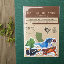 Oak Woodlands Sticker Set, Four Vinyl Stickers: California Newt, Scrub Jay, Valley Oak, California Sister