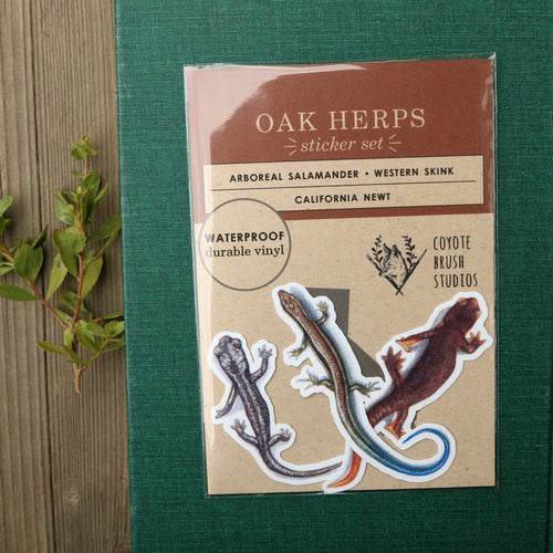 Load image 1 in gallery view. Oak Herps Vinyl Stickers: CA Newt, Arboreal Salamander, Western Skink