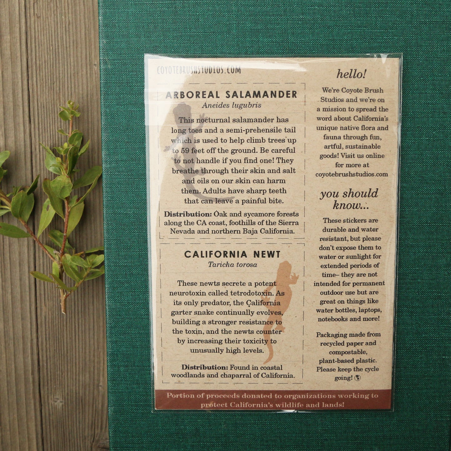 Oak Herps Vinyl Stickers: CA Newt, Arboreal Salamander, Western Skink