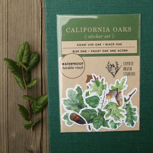 Load image 1 in gallery view. Oak Trees Vinyl Stickers: Blue Oak, Valley Oak, Black Oak, Coast Live Oak