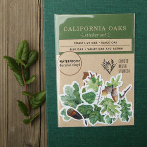 Oak Trees Sticker Set, Four Vinyl Stickers: Blue Oak, Valley Oak, Black Oak, Coast Live Oak