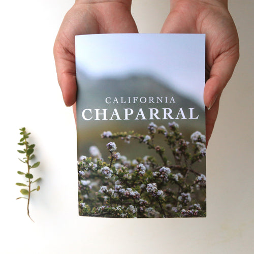 *Seconds Sale* - California Chaparral Booklet