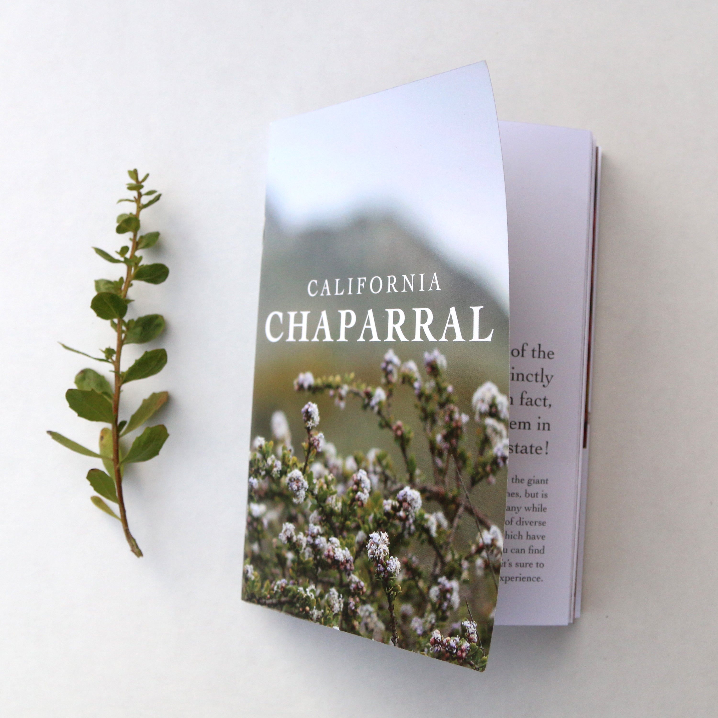 California Chaparral Booklet