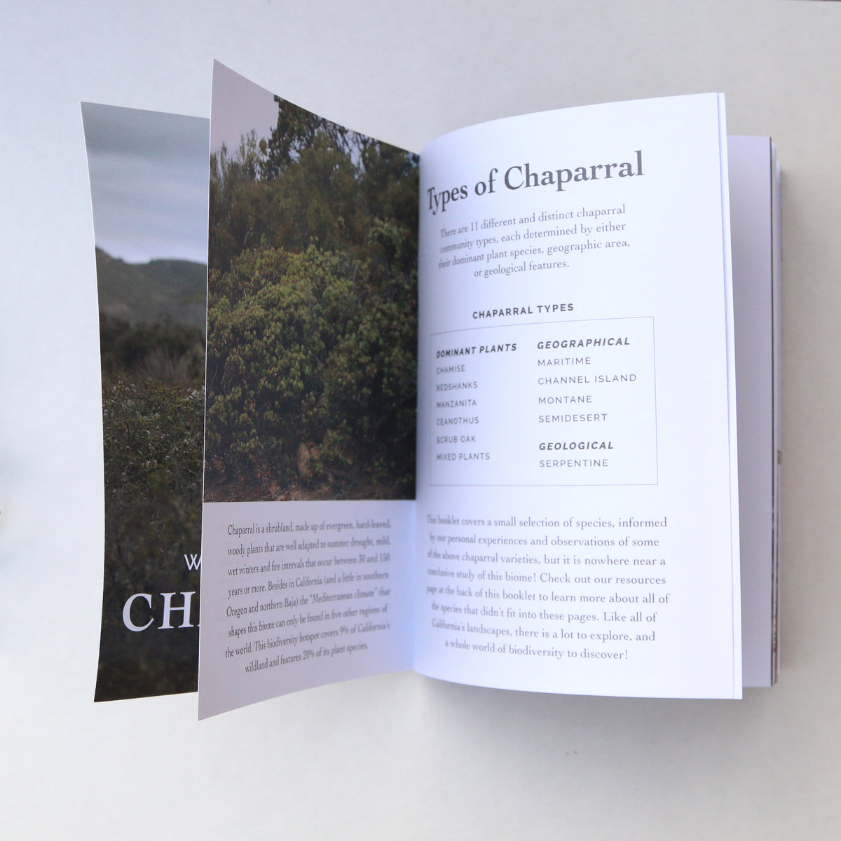 California Chaparral Booklet