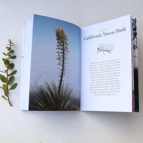 Load image 1 in gallery view. California Chaparral Booklet