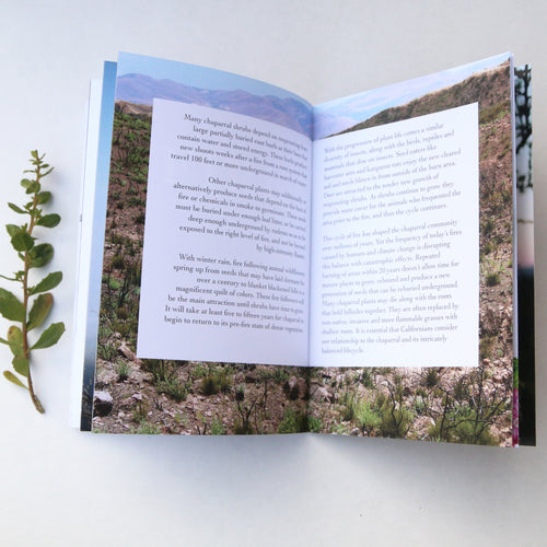 Load image 1 in gallery view. California Chaparral Booklet