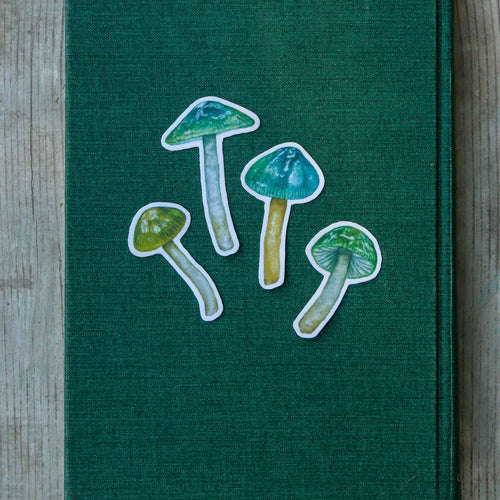 Load image 1 in gallery view. Parrot Waxcap Mushroom Vinyl Stickers: Hygrocybe psittacina