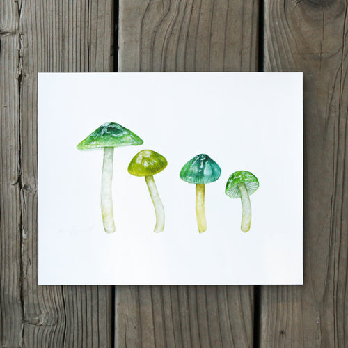 Load image 1 in gallery view. Parrot Waxcap Mushroom 8x10 Print - Native California Fungi, Mushroom Print