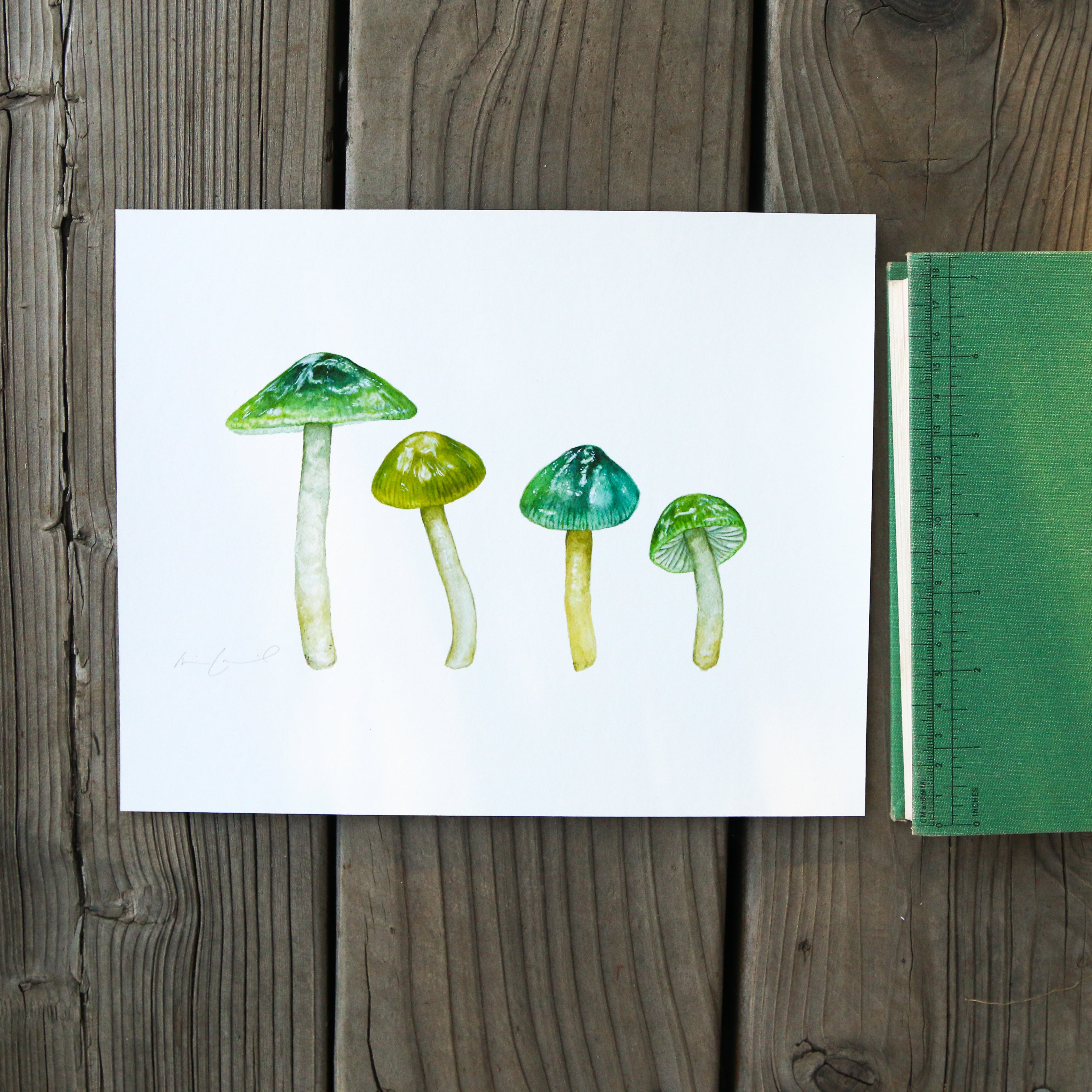 Parrot Waxcap Mushroom 8x10 Print - Native California Fungi, Mushroom Print