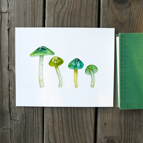 Load image 1 in gallery view. Parrot Waxcap Mushroom 8x10 Print - Native California Fungi, Mushroom Print