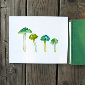 Parrot Waxcap Mushroom 8x10 Print - Native California Fungi, Mushroom Print, Mushroom Gift