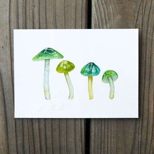 Load image 1 in gallery view. Parrot Waxcap Mushroom 5x7 Print - Native California Mushroom Print, Native Fungi