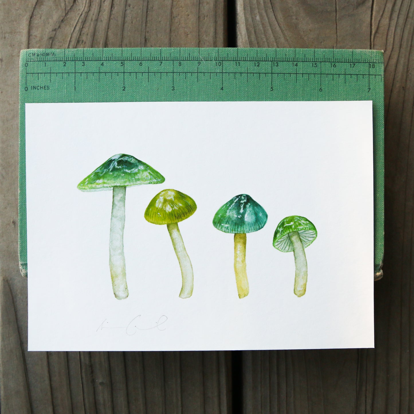 Parrot Waxcap Mushroom 5x7 Print - Native California Mushroom Print, Native Fungi