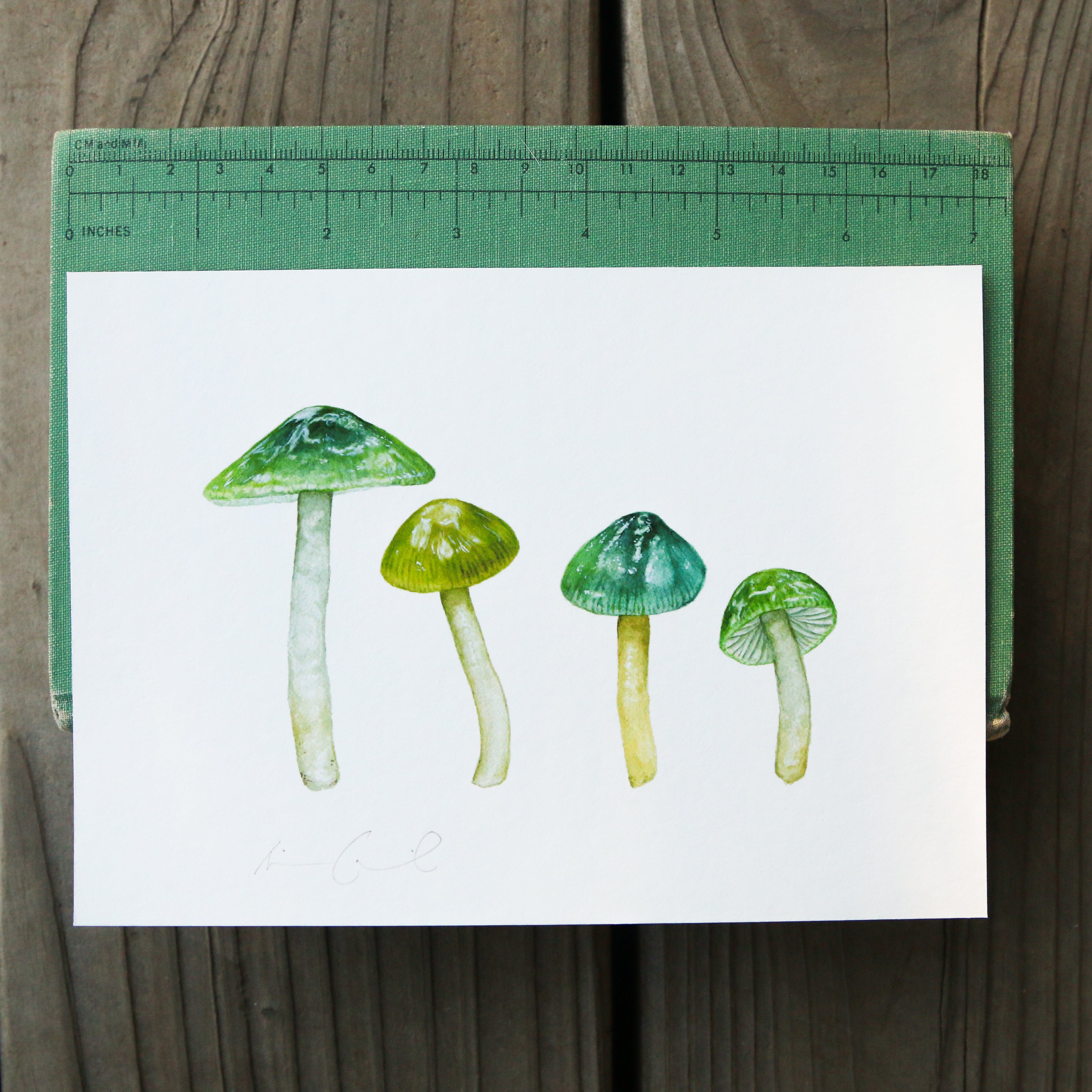 Parrot Waxcap Mushroom 5x7 Print - Native California Mushroom Print, Native Fungi