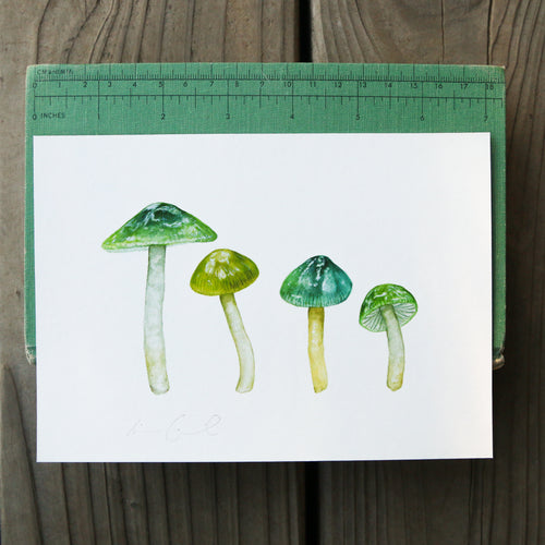 Load image 1 in gallery view. Parrot Waxcap Mushroom 5x7 Print - Native California Mushroom Print, Native Fungi