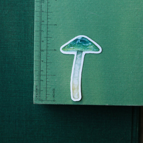 Load image 1 in gallery view. Parrot Waxcap Mushroom Vinyl Stickers: Hygrocybe psittacina