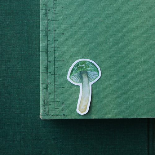 Load image 1 in gallery view. Parrot Waxcap Mushroom Vinyl Stickers: Hygrocybe psittacina
