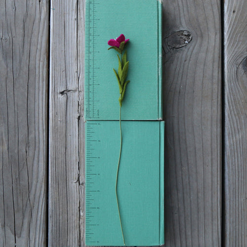 Load image 1 in gallery view. Winecup Yorkia Felt Flower - Clarkia purpurea - fiber sculpture, felt flower