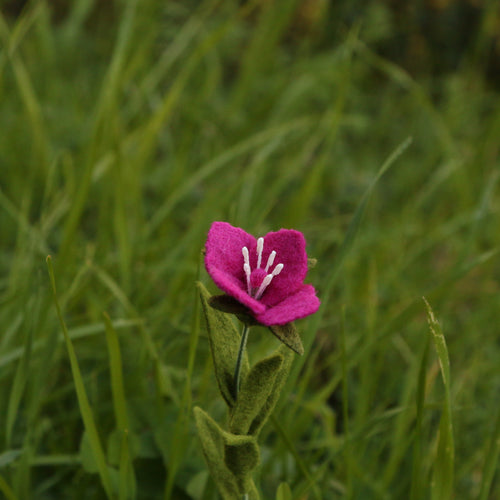 Load image 1 in gallery view. Winecup Yorkia Felt Flower - Clarkia purpurea - fiber sculpture, felt flower