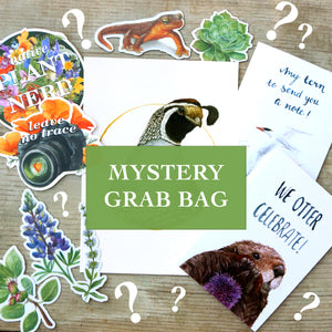 Mystery Seconds Grab Bags