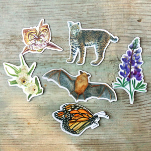 Mystery Magnet Seconds - Set of 6