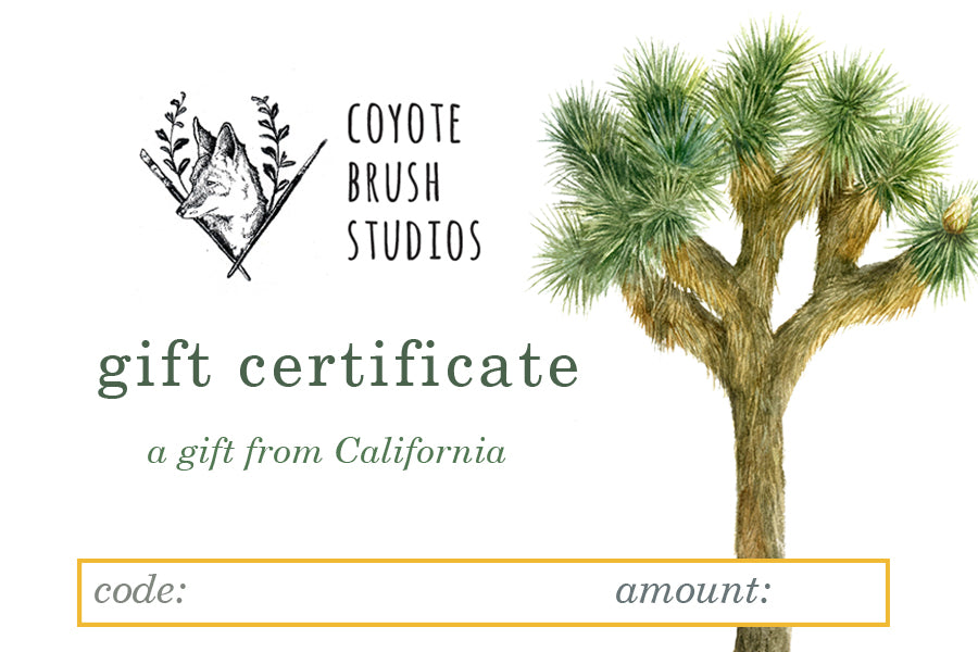 Coyote Brush Studios Digital Gift Certificate