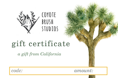 Load image 1 in gallery view. Coyote Brush Studios Digital Gift Certificate
