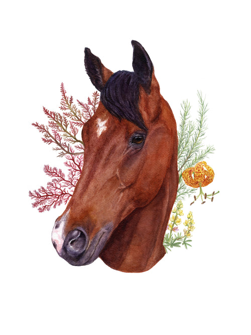 Load image 1 in gallery view. CA Native Plants + Pet Portrait Commission