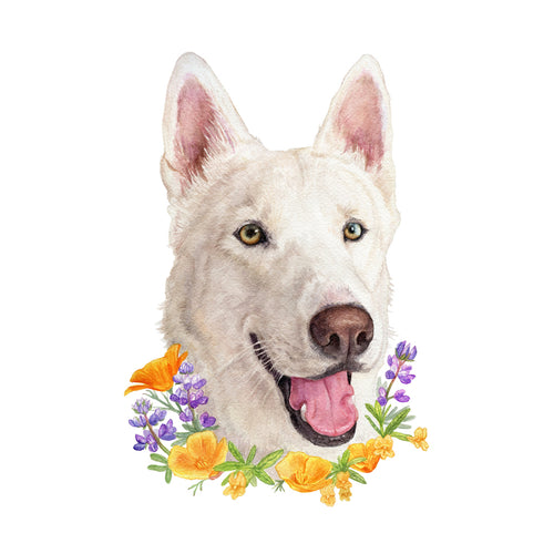 Load image 1 in gallery view. CA Native Plants + Pet Portrait Commission