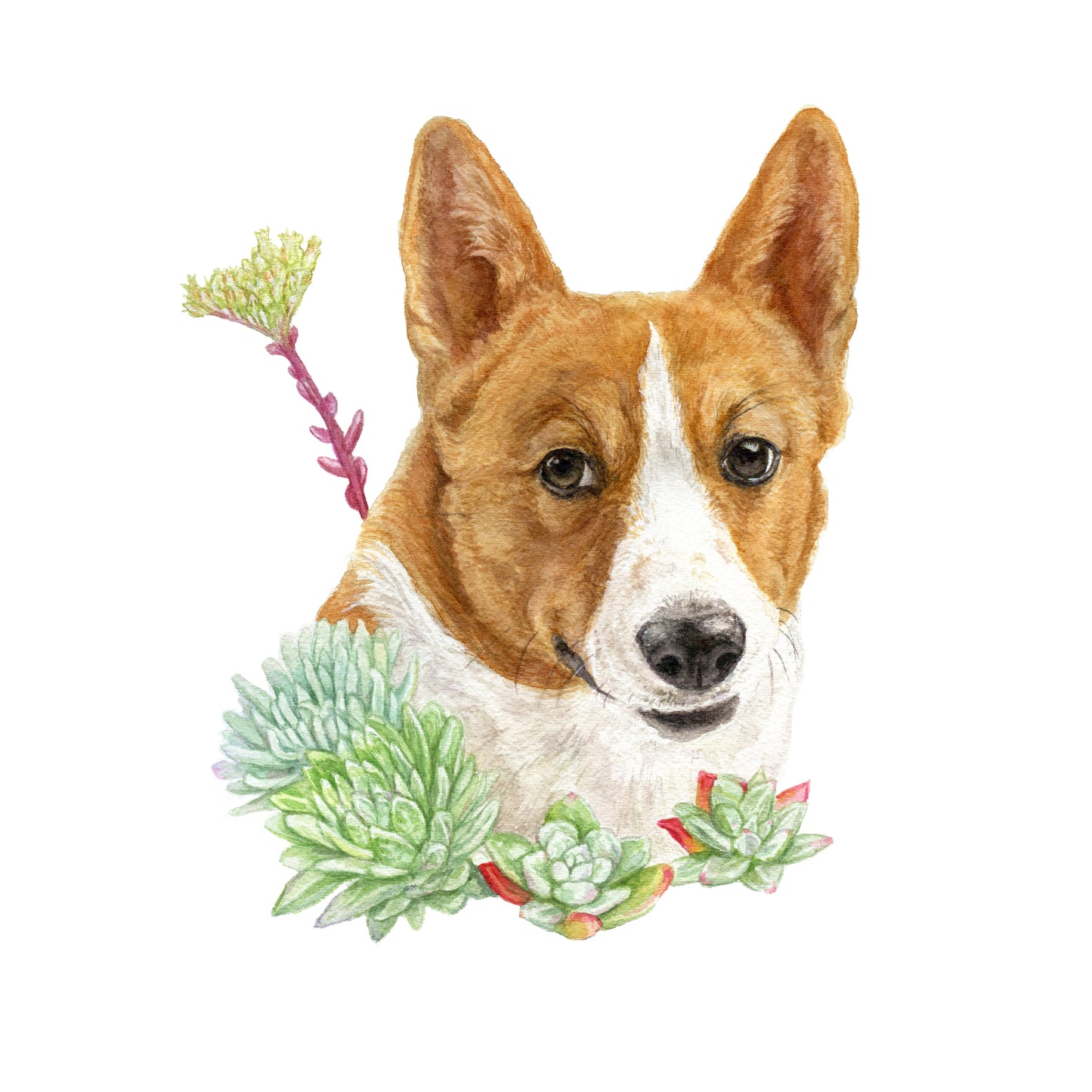 CA Native Plants + Pet Portrait Commission