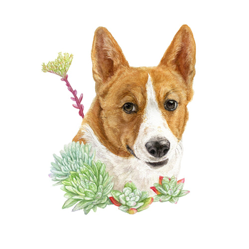 Load image 1 in gallery view. CA Native Plants + Pet Portrait Commission