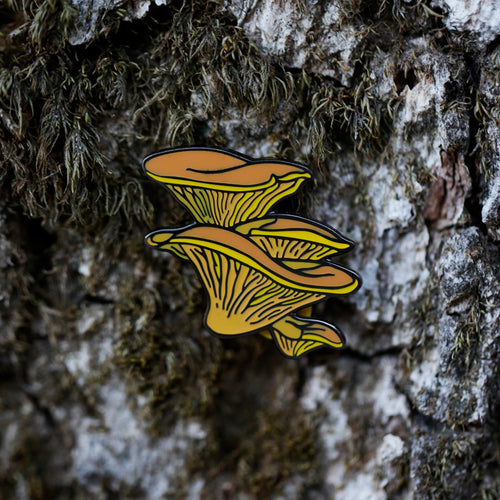 Load image 1 in gallery view. Western Jack-O'-Lantern Mushroom Glow in the Dark Enamel Pin