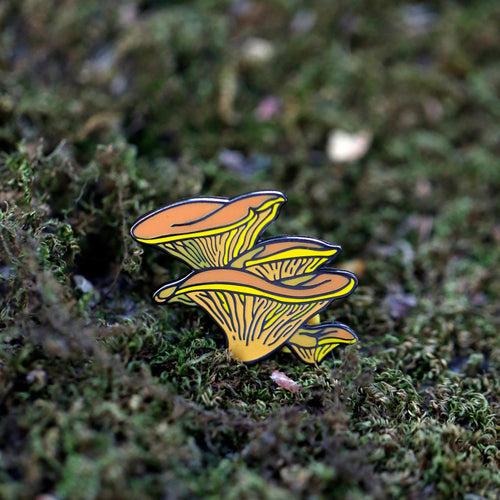 Load image 1 in gallery view. Western Jack-O'-Lantern Mushroom Glow in the Dark Enamel Pin