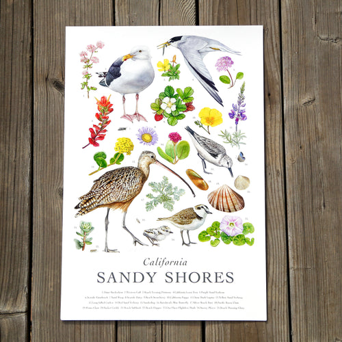 Load image 1 in gallery view. California Sandy Shores Poster
