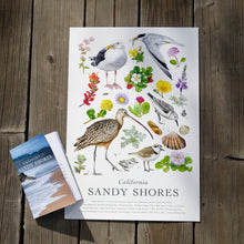 California Sandy Shores Poster